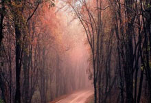 世界杯体彩竞猜网站 -维信诺申请显示面板专利提高制造容错率